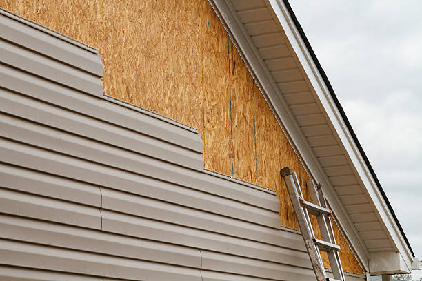 Professional Siding Repair technician working in Clinton, IL